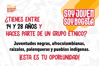 Consejo Local de Juventud