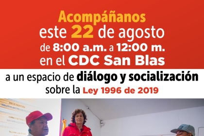 Socialización Ley 1996 de 2019