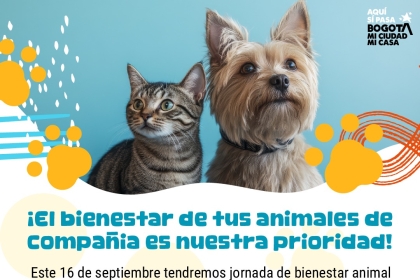 Foto de brigada médica