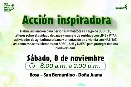 Acción Inspiradora