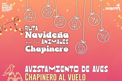 Pieza sobre evento de avistamiento de aves en Chapinero