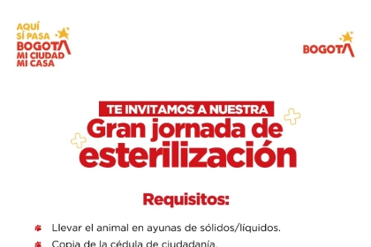 Imagen oficial de la jornada 
