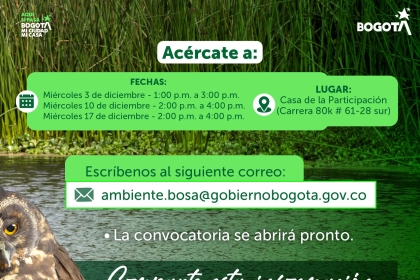 Proceda a presentar su propuesta de Proyecto Comunitario de Educación Ambiental Bosa
