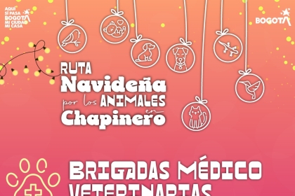 pieza gráfica evento 