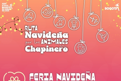 pieza gráfica evento 
