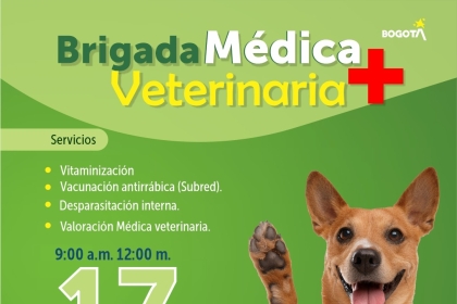 Brigada médico veterinaria