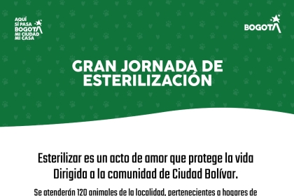 Jornada de esterilización