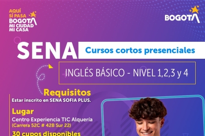 3. Curso Inglés Básico - Nivel 1, 2, 3 y 4