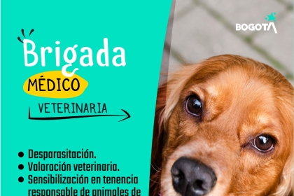 Brigada médico veterinaria