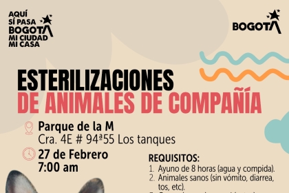 Jornada de esterilización 