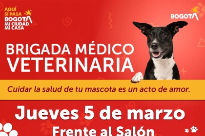 BRIGADA MÉDICO VETERINARIA 