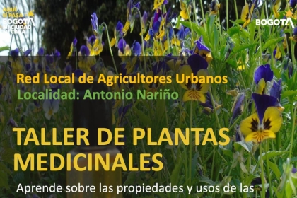 Taller de Plantas Medicinales en Antonio Nariño