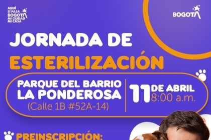 Jornada de esterilización