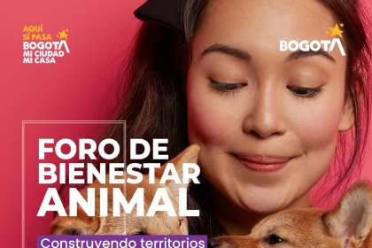 Foro de bienestar animal