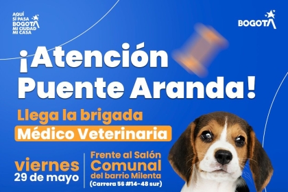 Brigada Médico Veterinaria