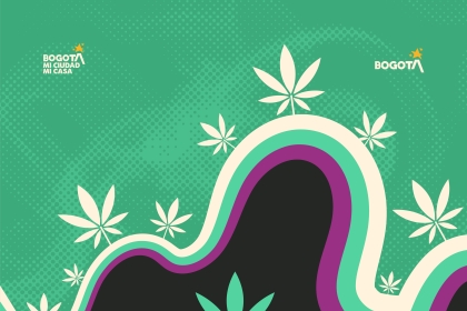 Posesión Consejo Local Cannábico 2026 Bosa