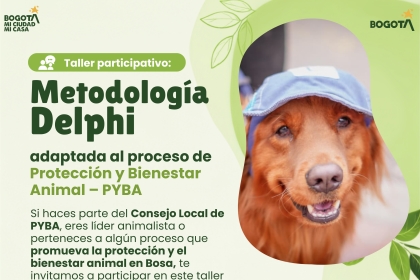 Taller participativo: Metodología Delphi adaptada a la Protección y Bienestar Animal en Bosa