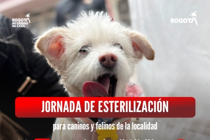 Jornada de esterilización
