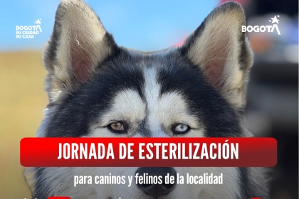 Jornada de esterilización