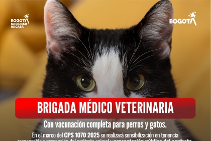 Brigada médico veterinaria