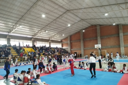 Taller de Taekwondo 