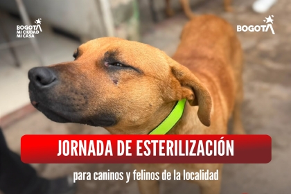 Jornada de esterilización