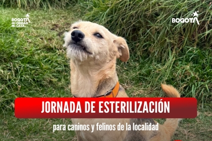 Jornada de esterilización