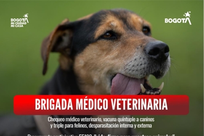  Brigada veterinaria