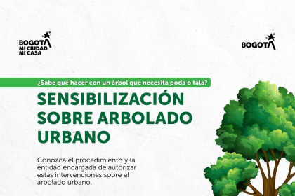 Ciudad Jardín, en Antonio Nariño, fortalece el conocimiento sobre el arbolado urbano