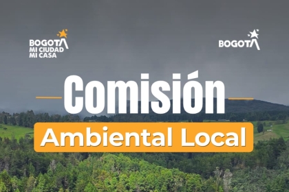 Comisión Ambiental Local