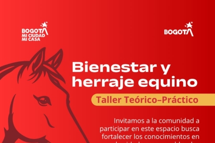 Taller bienestar equino
