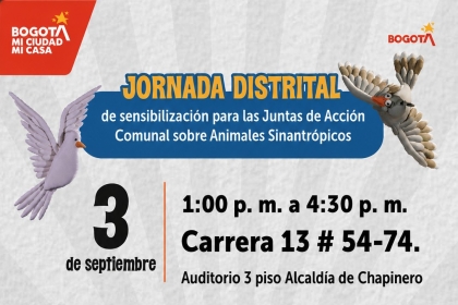 Jornada Distrital de sensibilización
