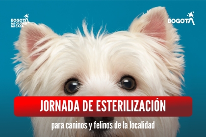 Jornada de esterilización