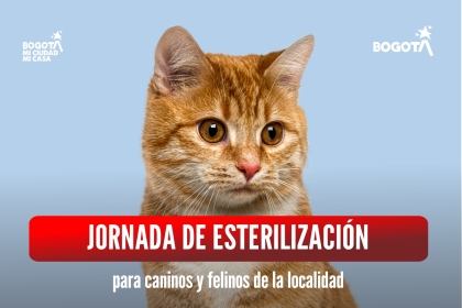 Jornada de esterilización