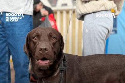 Jornada de esterilización 