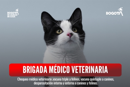 Brigada médico veterinaria