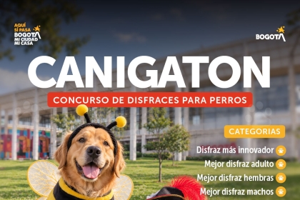 Canigaton - Concurso de disfraces para perros