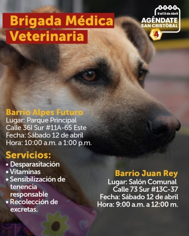 Brigada Médica Veterinaria