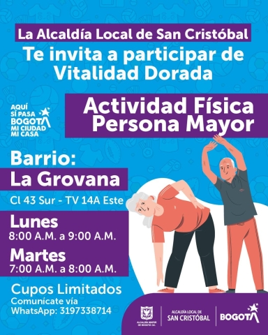 Actividad Física para Persona Mayor  Vitalidad Dorada