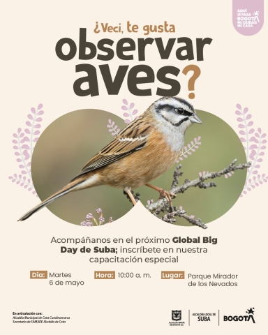 Observar aves en Suba