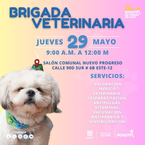 Jornada gratuita médico veterinaria