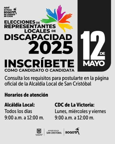  Elecciones representante al Consejo local de discapacidad 2025