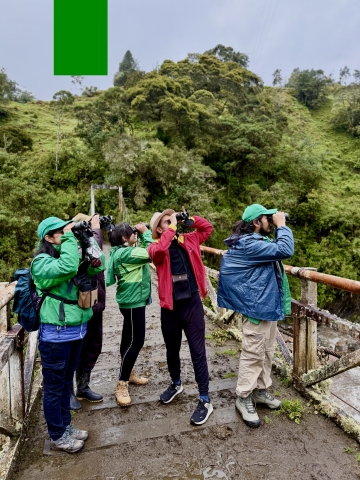 Avistamiento de aves en Sumapaz