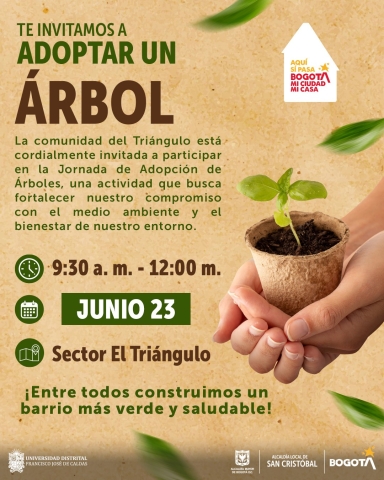 Adopta un árbol desde el Triangulo 
