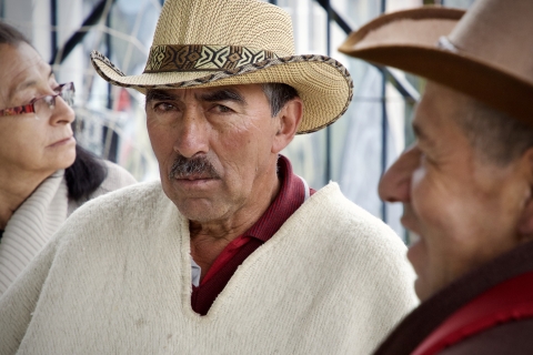 Festival Mayor
