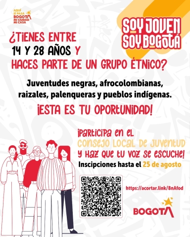 Consejo Local de Juventud