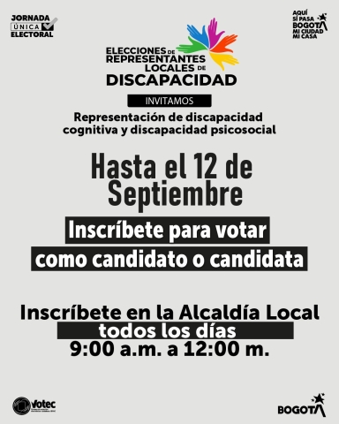 Elecciones Representantes Locales de Discapacidad
