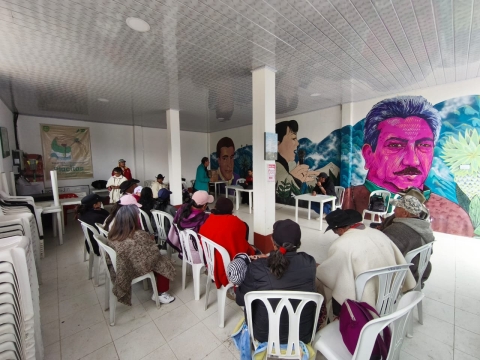 Comité Operativo Local de envejecimiento