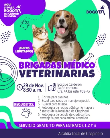 Pieza gráfica sobre brigada medico veterinaria