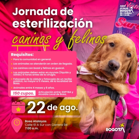 Jornada de estilización